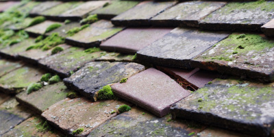 Mount Bures roof repair costs